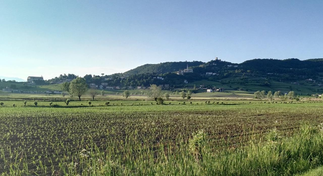 La Pergola Alloggio Brendola Luaran gambar